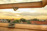 rated Lowerhouse roof window companies
